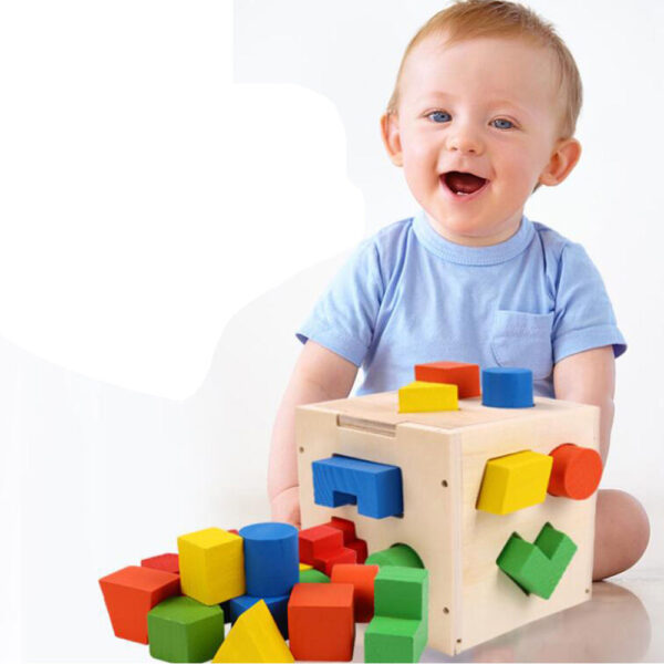 15 Hole Wooden Shape Matching Intelligence Box